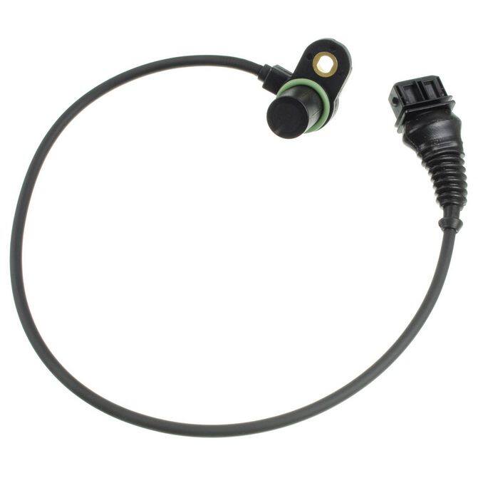 HQI HOLSTEIN 2CAM0021