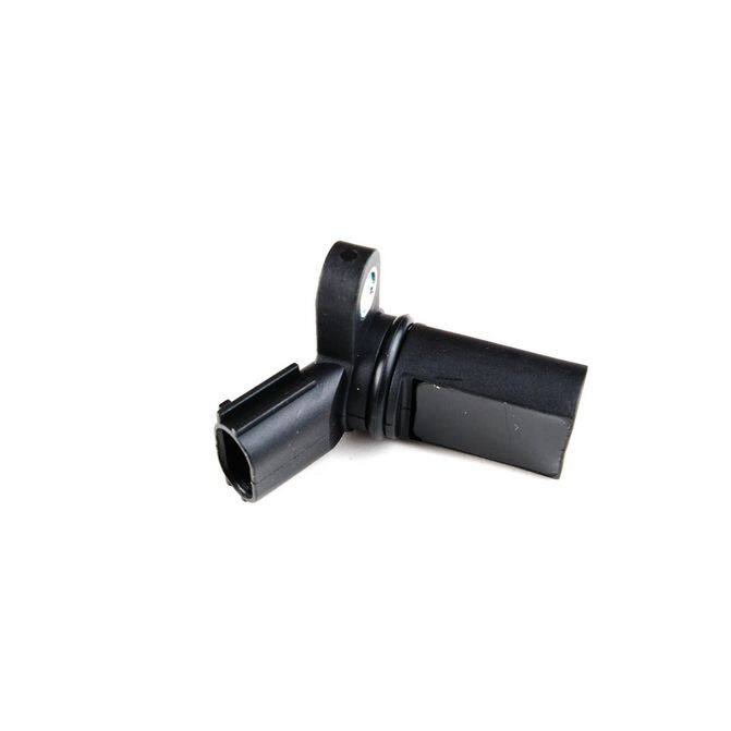 HQI HOLSTEIN 2CAM0032