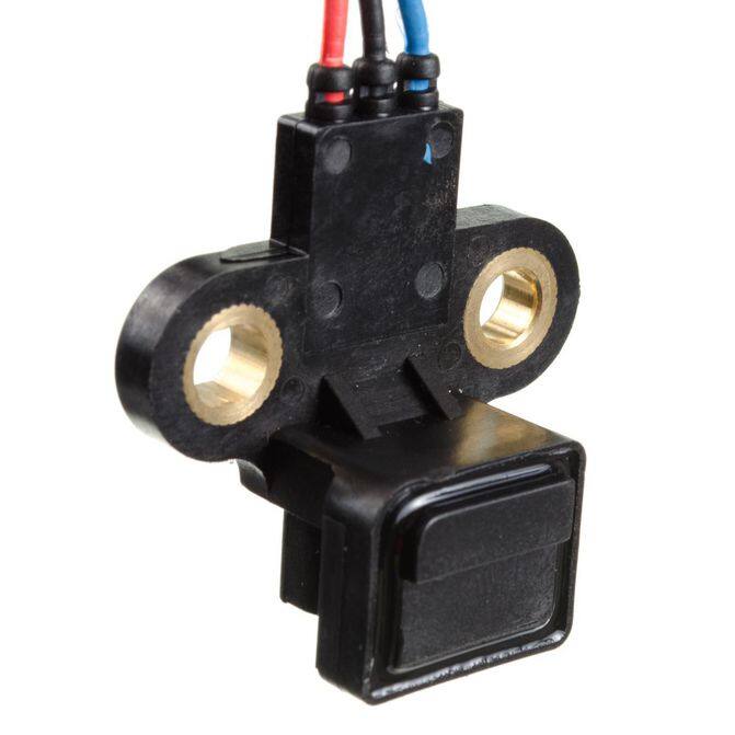HQI HOLSTEIN 2CAM0052