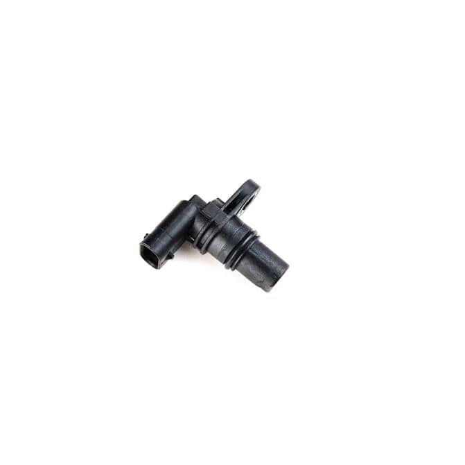 HQI HOLSTEIN 2CAM0135
