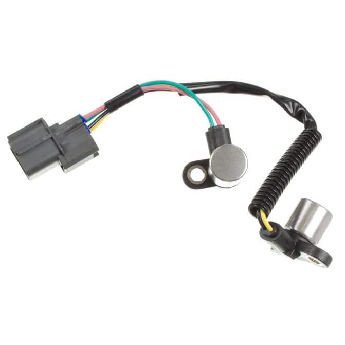 HQI HOLSTEIN 2CAM0148