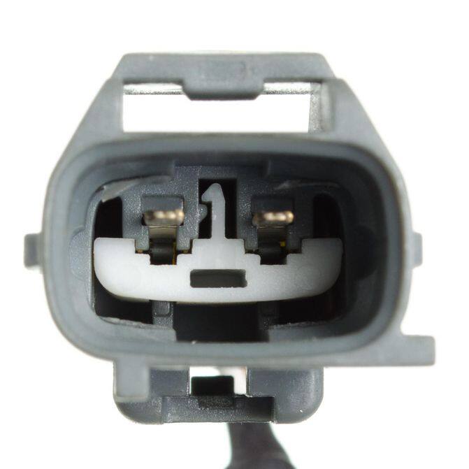 HQI HOLSTEIN 2CAM0247