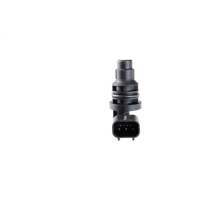 HQI HOLSTEIN 2CAM0308