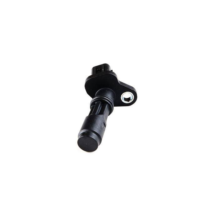 HQI HOLSTEIN 2CAM0312