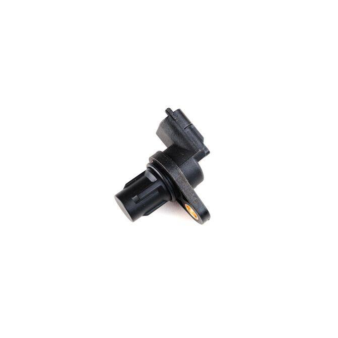 HQI HOLSTEIN 2CAM0341