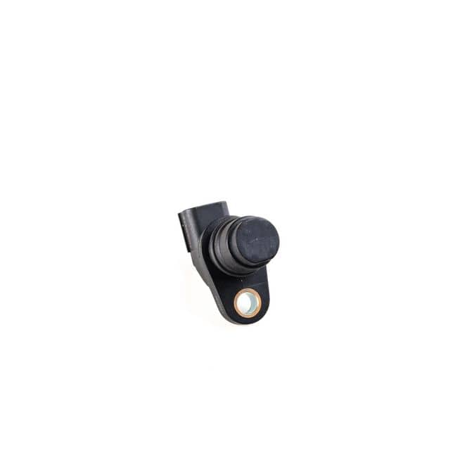 HQI HOLSTEIN 2CAM0354