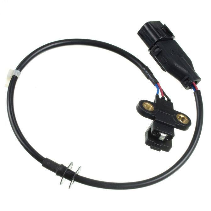 HQI HOLSTEIN 2CAM0359