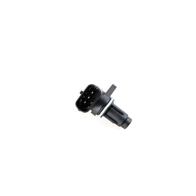 HQI HOLSTEIN 2CAM0362