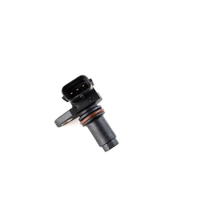 HQI HOLSTEIN 2CAM0386