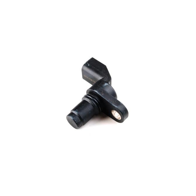 HQI HOLSTEIN 2CAM0388