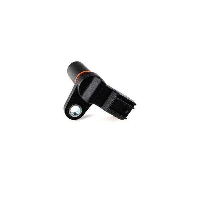 HQI HOLSTEIN 2CAM0404