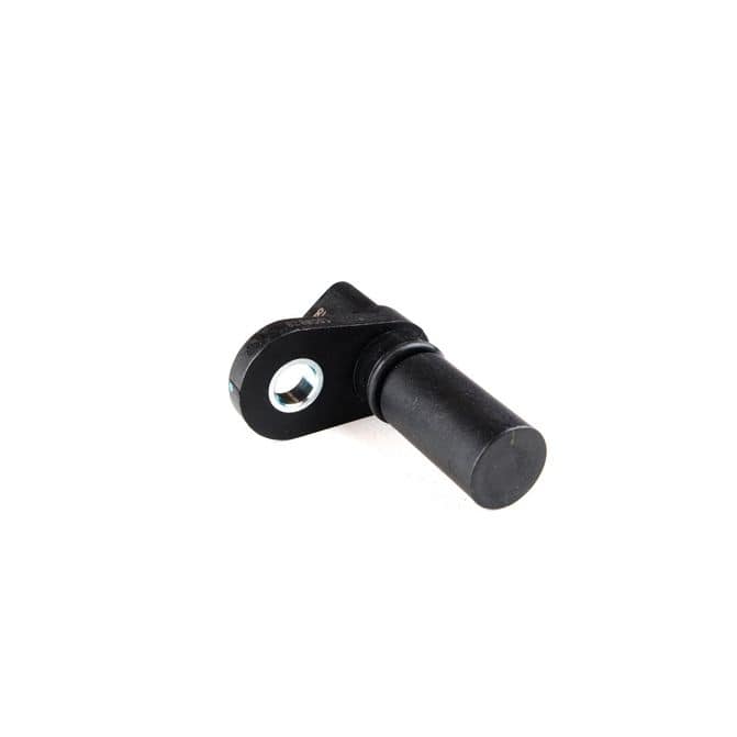 HQI HOLSTEIN 2CAM0468