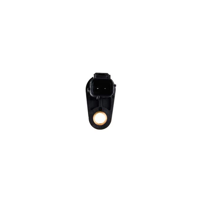 HQI HOLSTEIN 2CAM0477