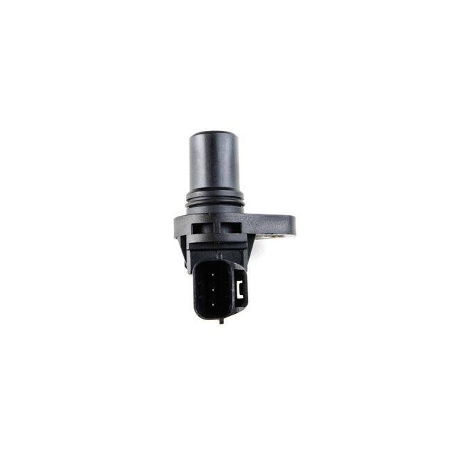 HQI HOLSTEIN 2CAM0485