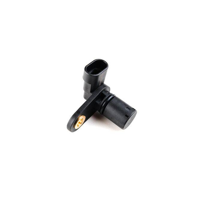 HQI HOLSTEIN 2CAM0503