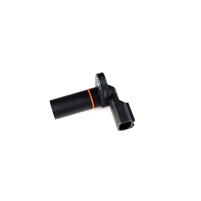 HQI HOLSTEIN 2CAM0522