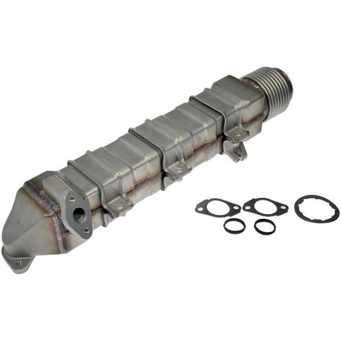 DORDORMAN9045051