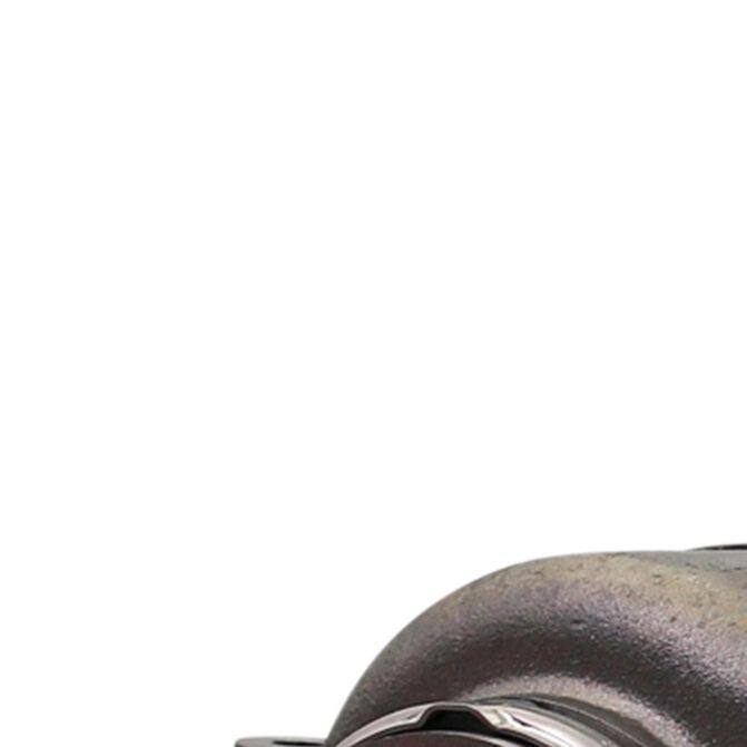 BGRBORG WARNER12639900004