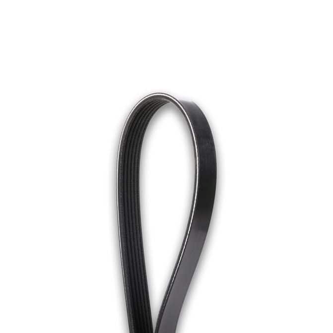 Dayco V-Ribbed Belt 5060515 | FleetPride Dayco V-Ribbed Belt 5060515 | FleetPride