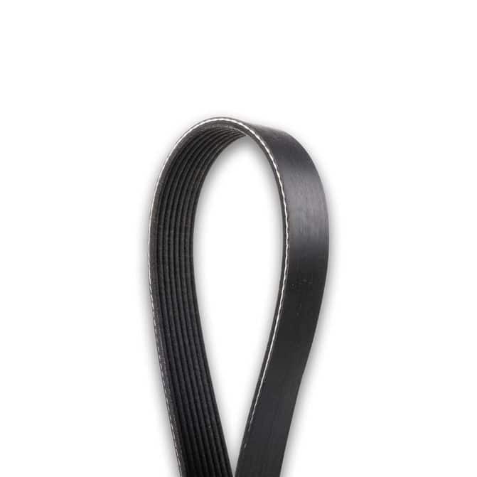 Dayco V-Ribbed Belt 5100730 | FleetPride