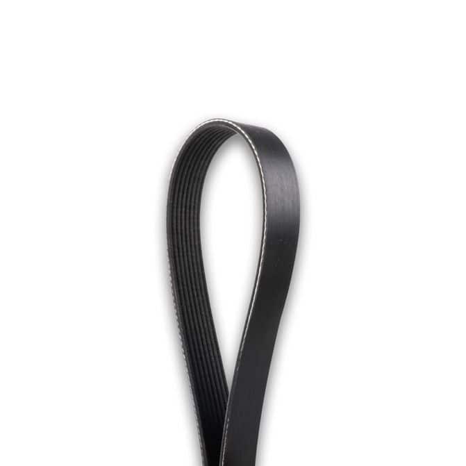 Dayco V-Ribbed Belt 5100770 | FleetPride