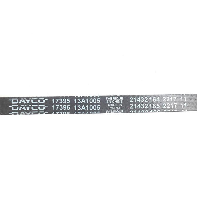 DCODAYCO17395