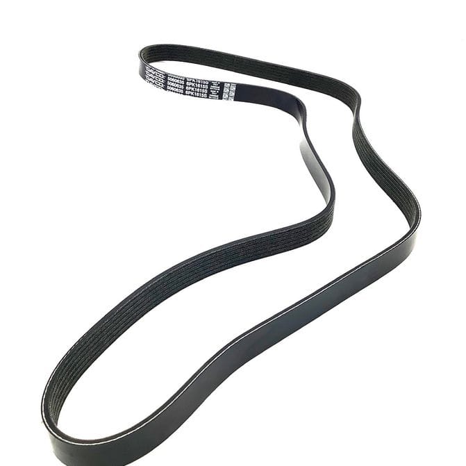 DCODAYCO5060635