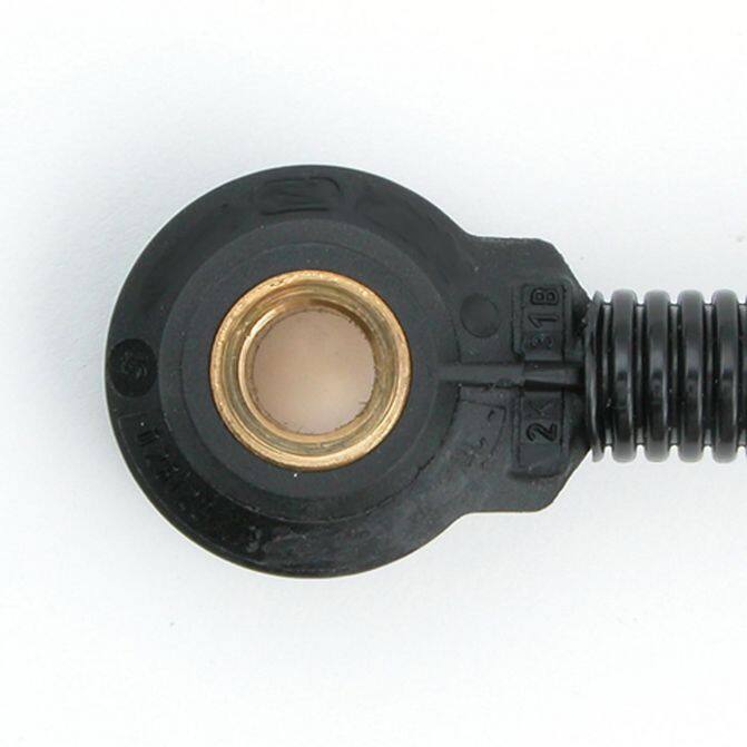 DLP DELPHI AS10062