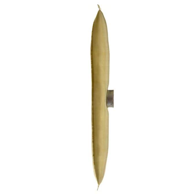 DLP DELPHI FS0034