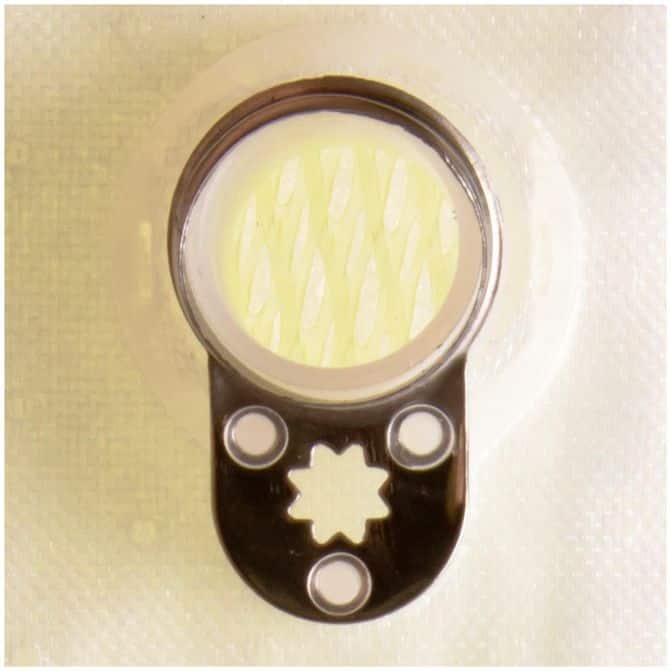 DLP DELPHI FS0110