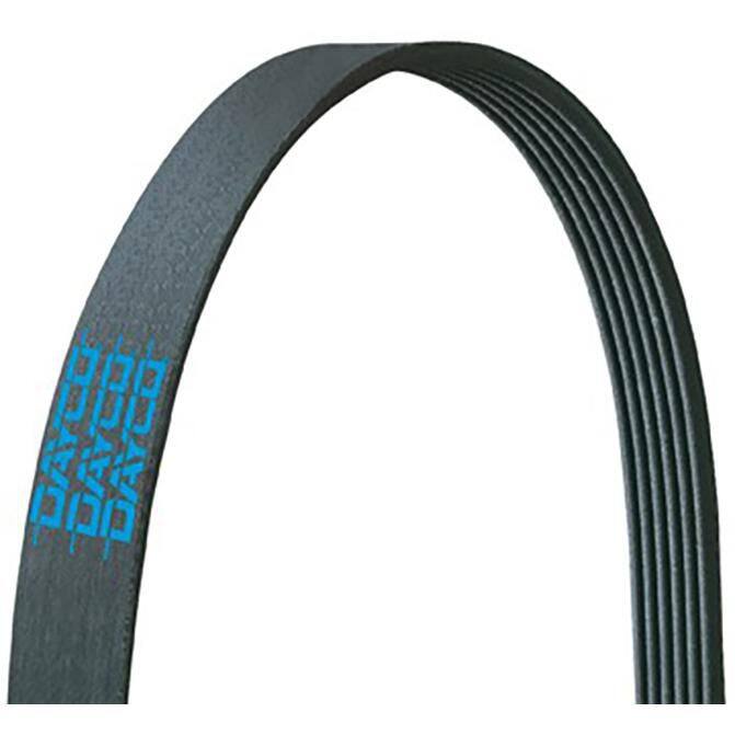 MAPCO Cinghia Poly-V 261570 - 6 Alette, 1570mm Per Audi, BMW, Ford, Suzuki