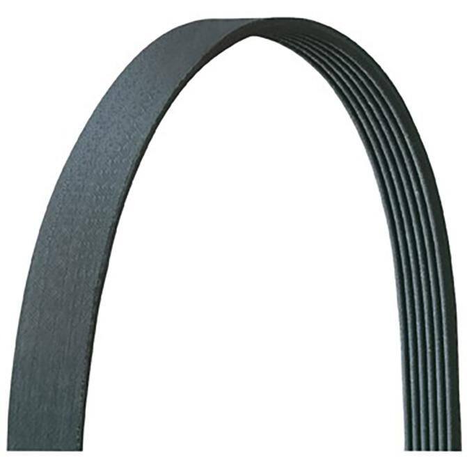 Dayco Serpentine Belt 5080575DR | FleetPride