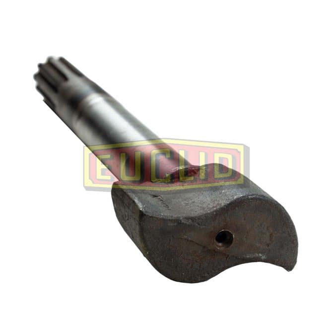 EUCEUCLIDE5133