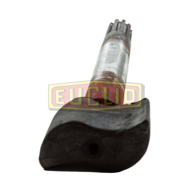 EUCEUCLIDE5136