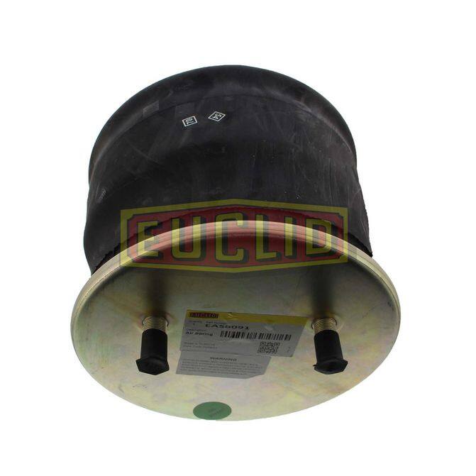 EUCEUCLIDEAS8091