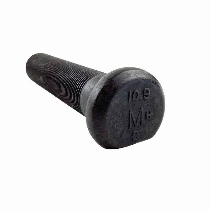EUCEUCLIDE10257