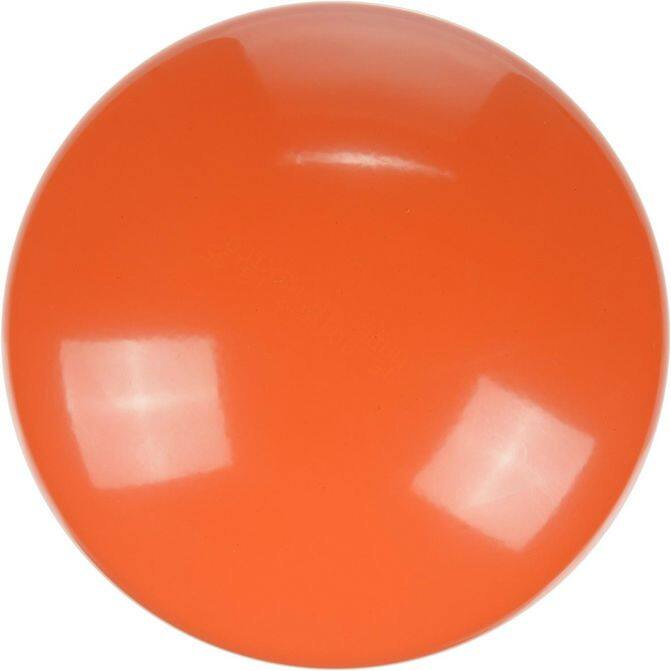 FZF FRAM CORPORATION P7026