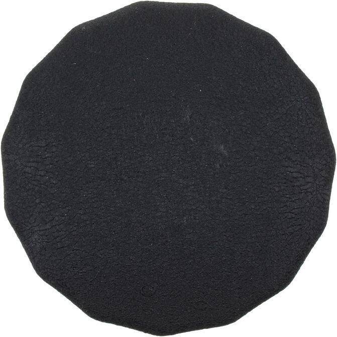 FZF FRAM CORPORATION PH25