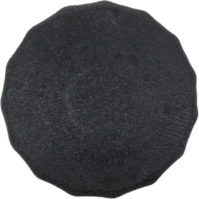 FZF FRAM CORPORATION PH2870A