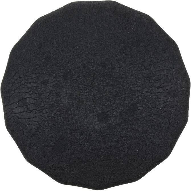 FZF FRAM CORPORATION PH2