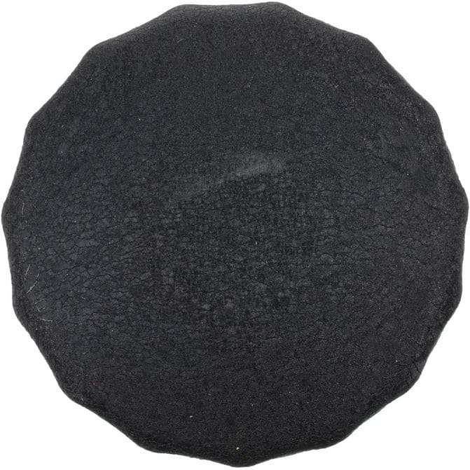 FZF FRAM CORPORATION PH3980