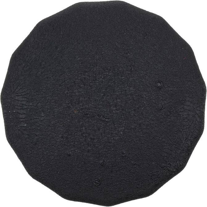 FZF FRAM CORPORATION PH8873
