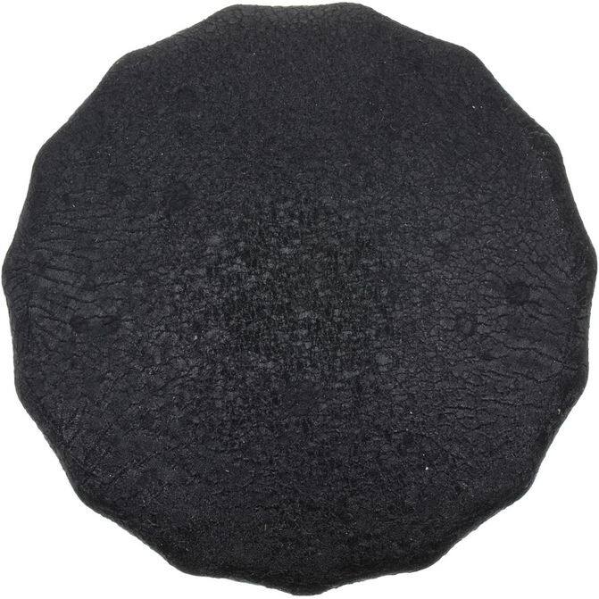 FZF FRAM CORPORATION PH9688