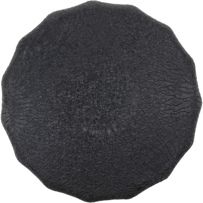 FZF FRAM CORPORATION TG3980