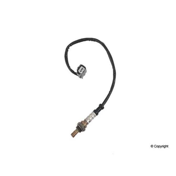 WAP WALKER PRODUCTS 25024343