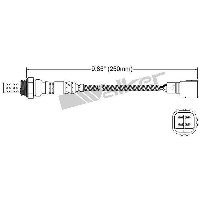 WAP WALKER PRODUCTS 25024344