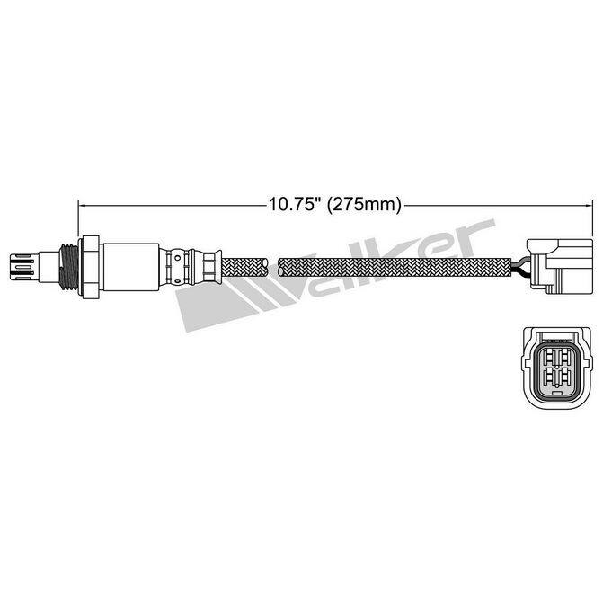 WAP WALKER PRODUCTS 25054041