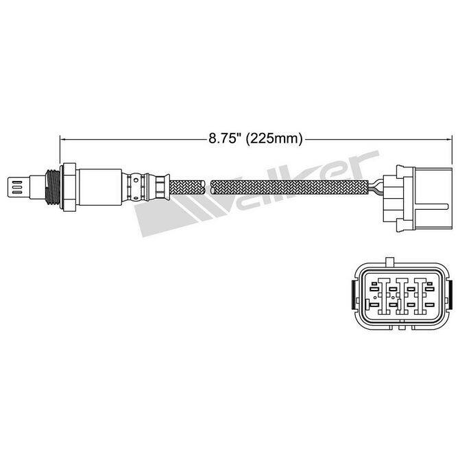 WAP WALKER PRODUCTS 25054070
