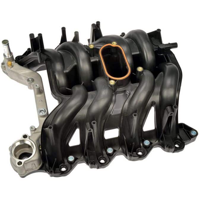 DORDORMAN615188