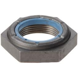 Spicer Differential Pinion Shaft Nut 127589 | FleetPride